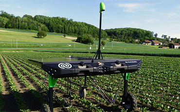 Robots for weed control
